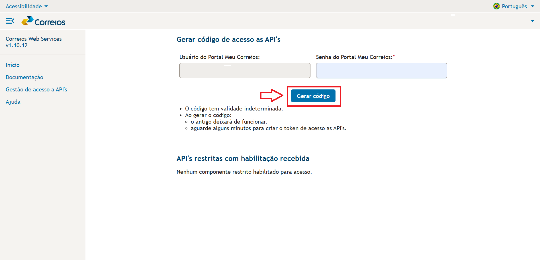 Tela para gerar a senha da API
