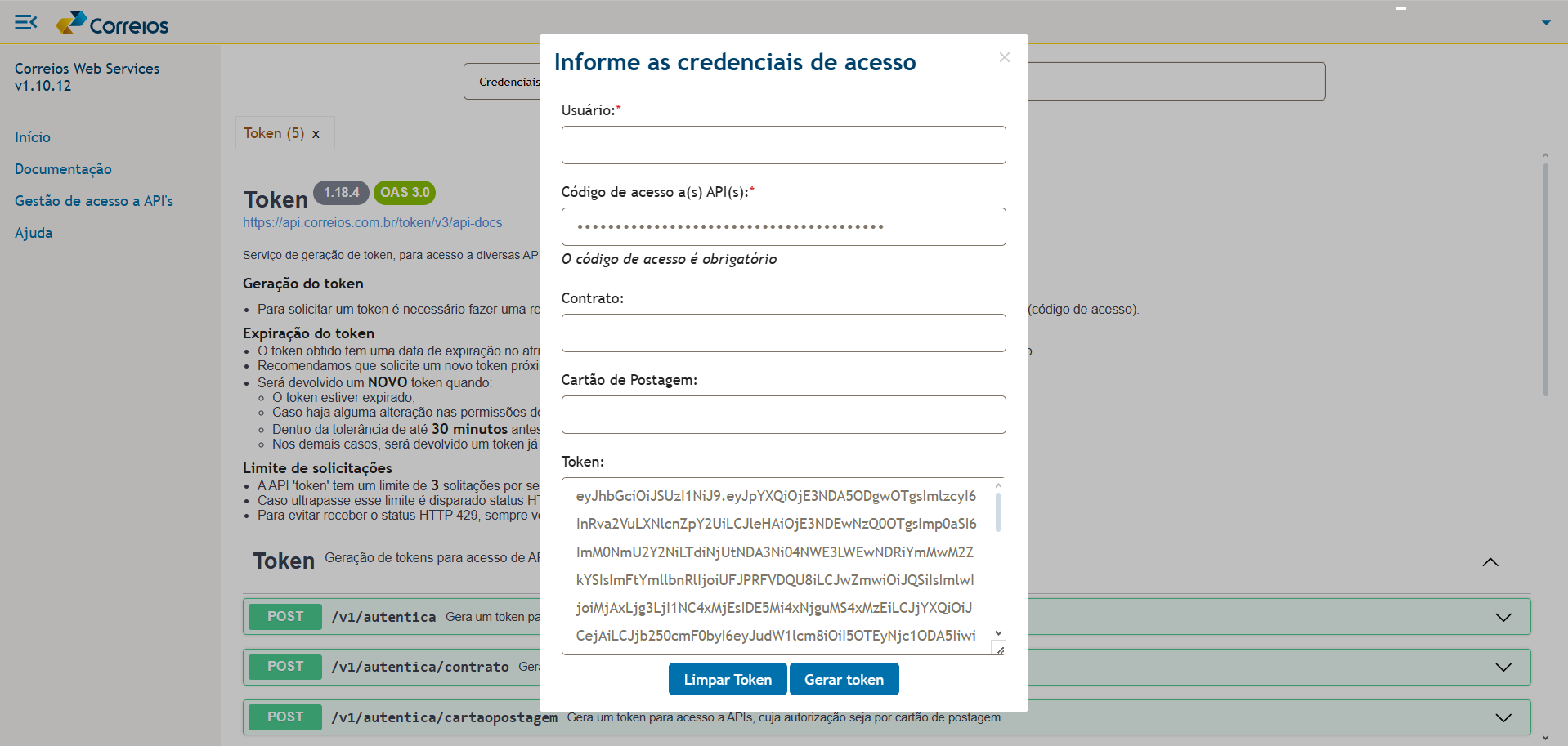 Janela com o token de acesso a API